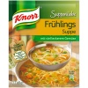 knorr-spring-soup