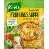 knorr_spring_soup_frhlingssuppe